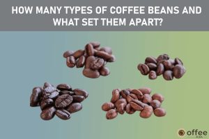 Featured image for the artilce "How Many Types of Coffee Beans and What Set Them Apart?"