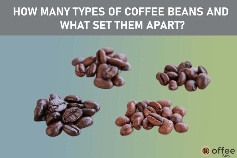 How Many Types of Coffee Beans and What Set Them Apart?