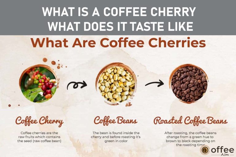 What is a coffee cherry? What does it taste like?