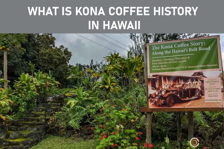 What is Kona Coffee History in Hawaii?