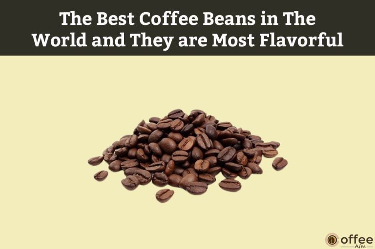 The Best Coffee Beans in The World and They are Most Flavorful