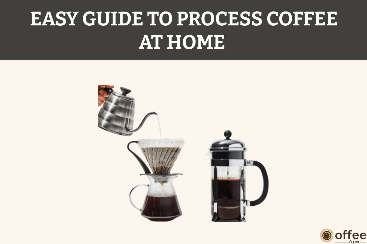 Featured image for the article "Easy Guide to Process Coffee at Home"