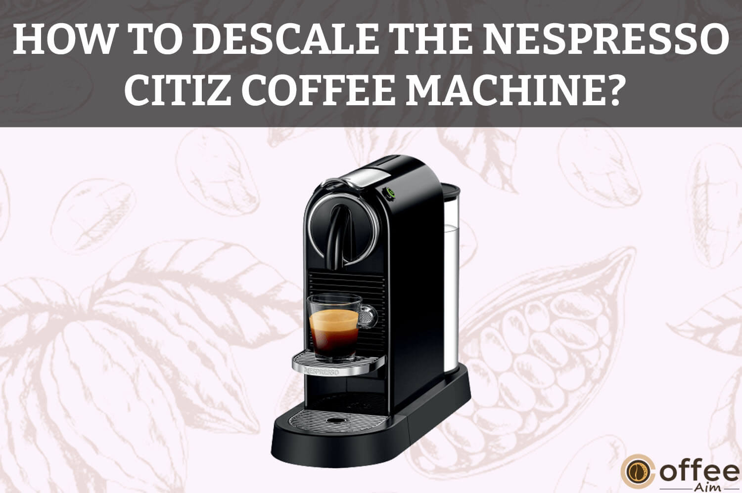 Feature image for the article "How To Descale The Nespresso Citiz Coffee Machine"