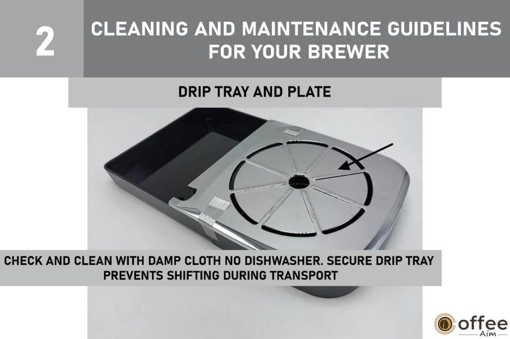 This image illustrates the components of the 'Drip Tray and Plate' as part of the comprehensive 'Cleaning and Maintenance Guidelines for Your Keurig B-31 Brewer' article.