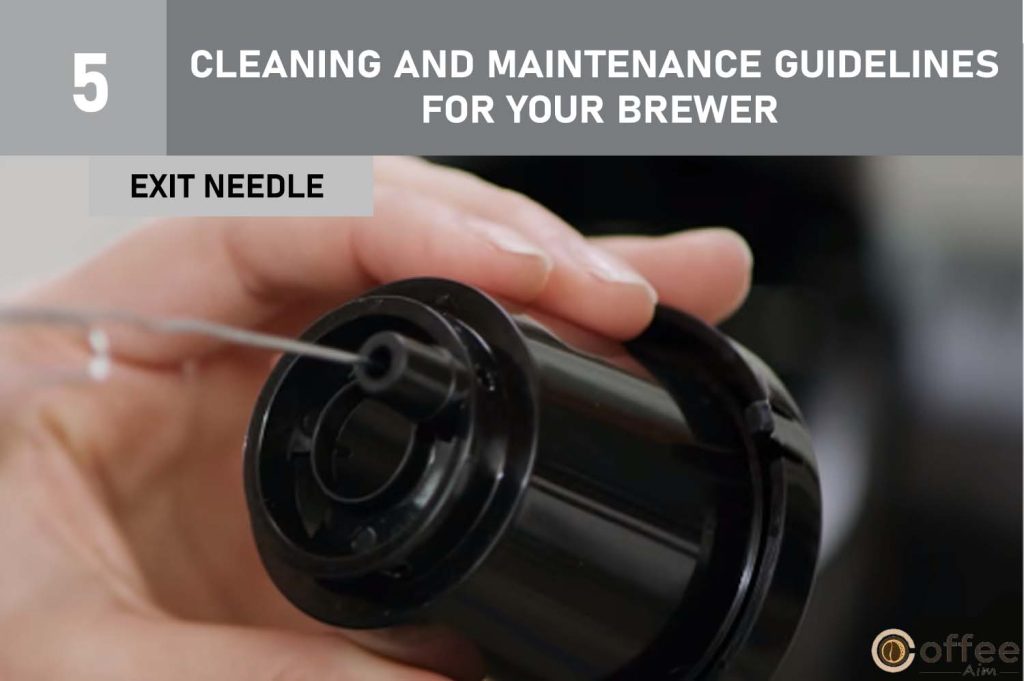 The included image illustrates the "Exit Needle" as part of the comprehensive Cleaning and Maintenance Guidelines for your Keurig B-31 Brewer.